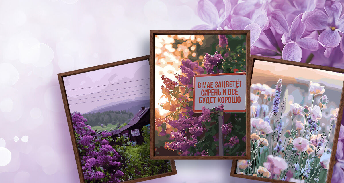 Картины по номерам<br>с цветами